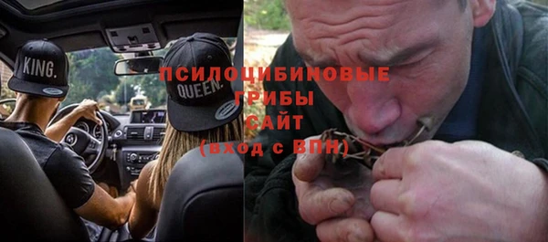 прущий лед Аркадак