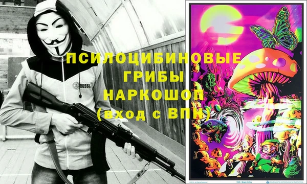прущий лед Аркадак