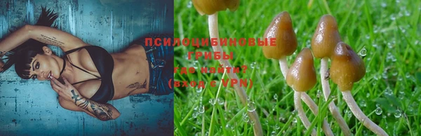 амф Арсеньев